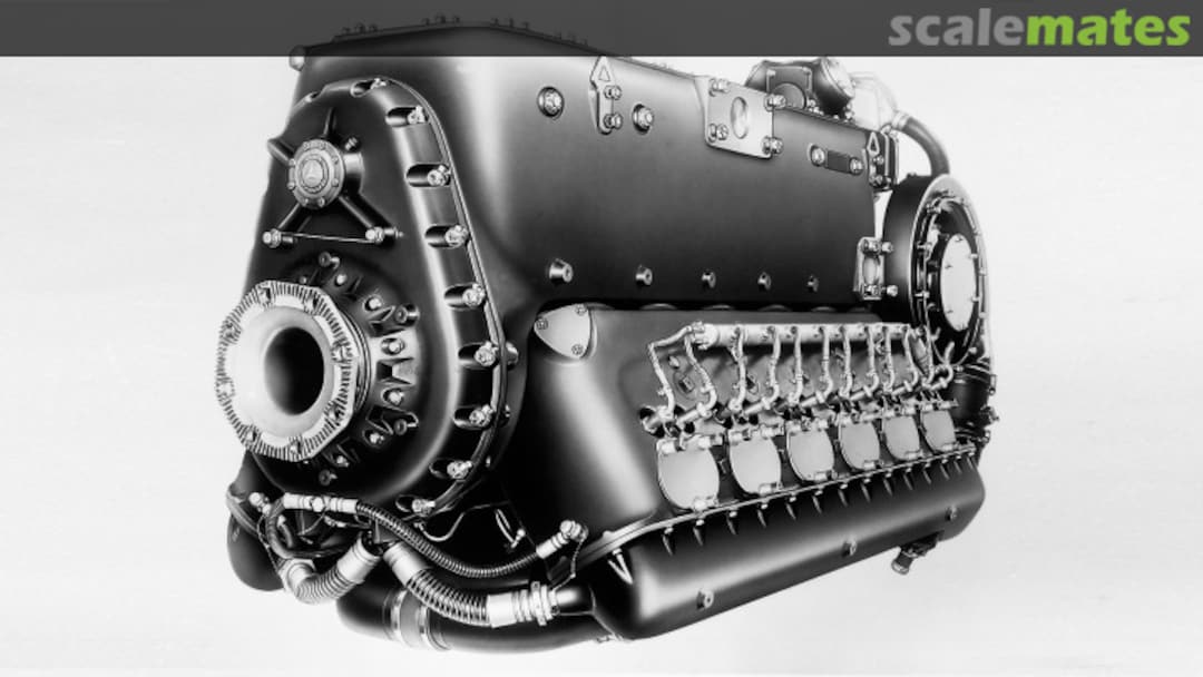 View album, image #1