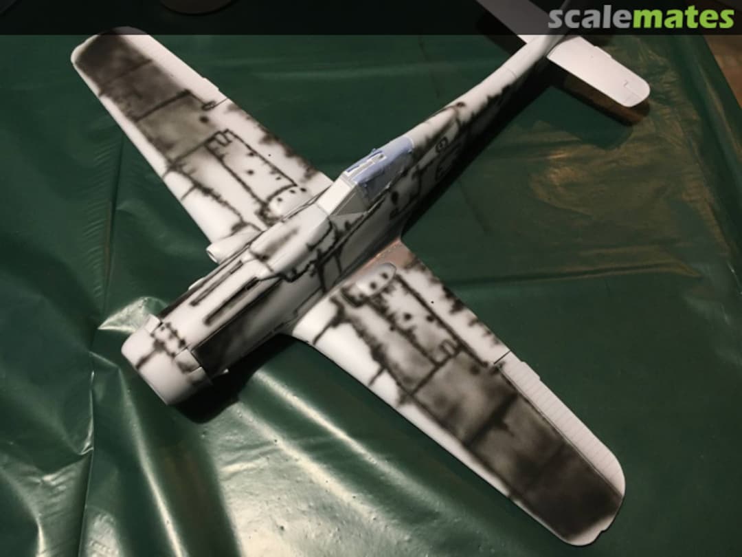 View album, image #1 View album, image #1