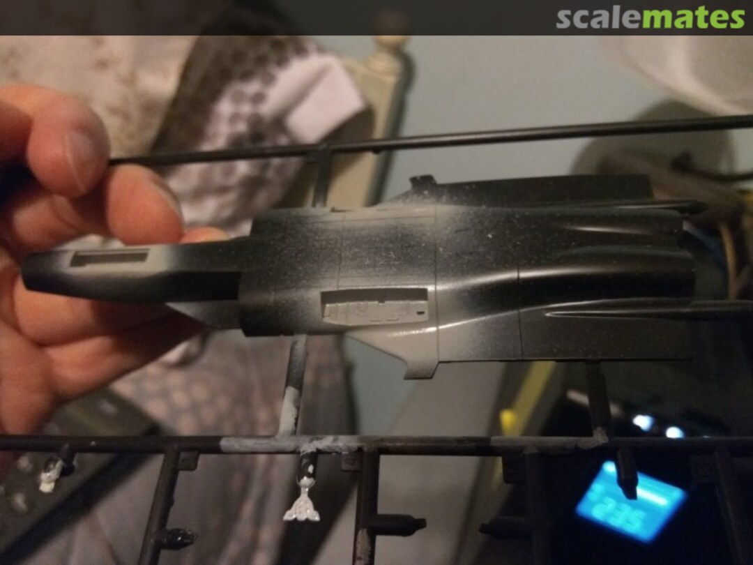 View album, image #1 View album, image #1