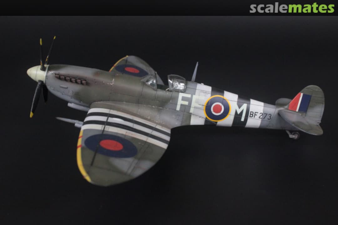 View album, image #1 View album, image #1