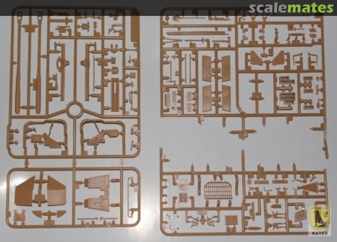 View album, image #1 View album, image #1