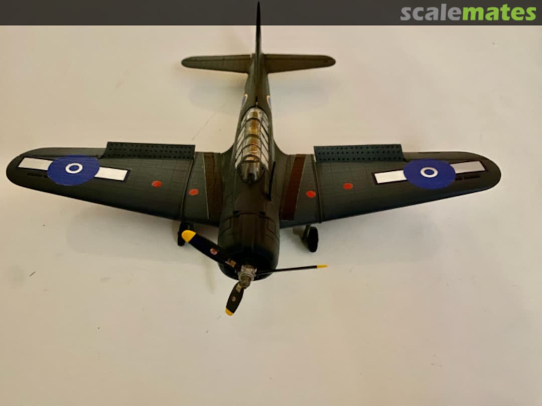 View album, image #1 View album, image #1