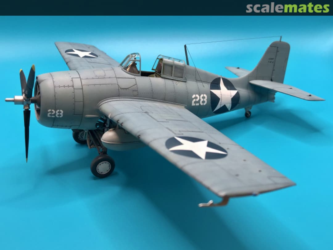 View album, image #1 View album, image #1