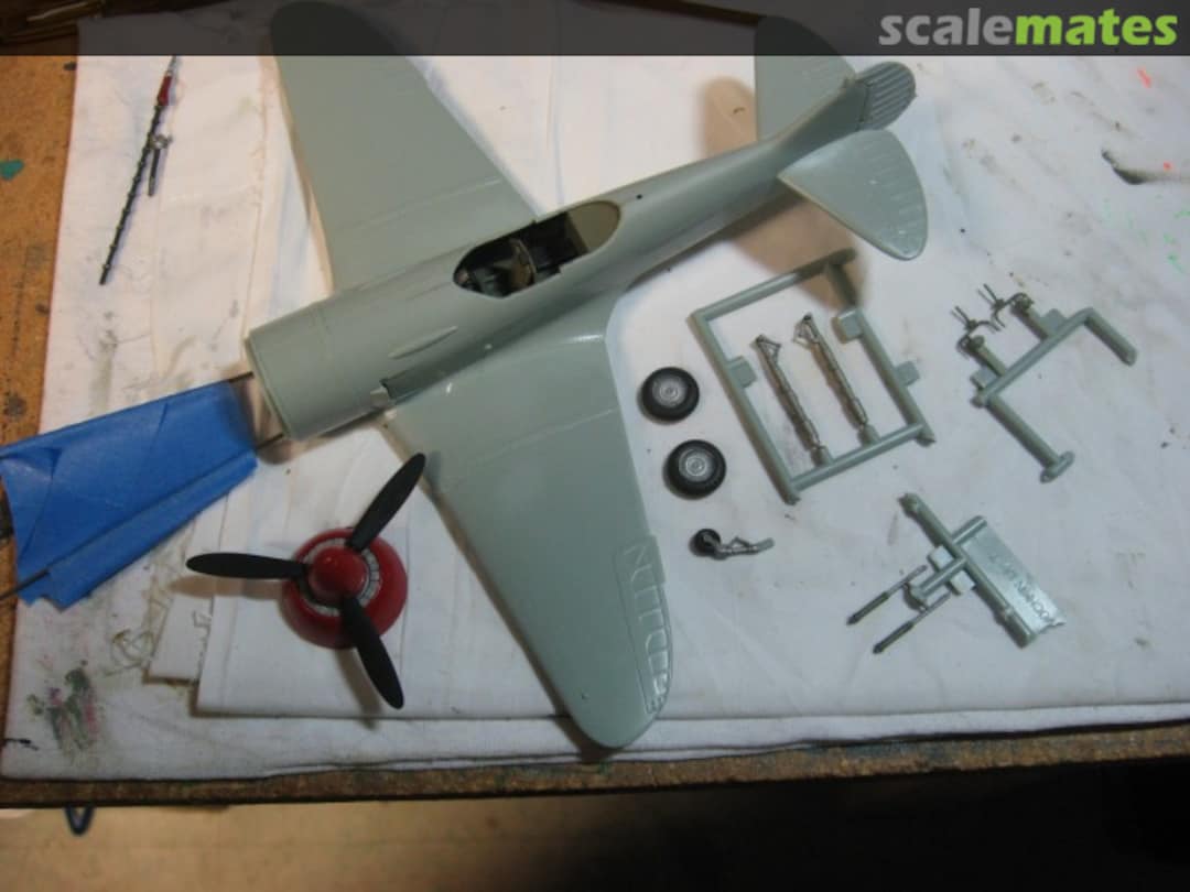 View album, image #1 View album, image #1