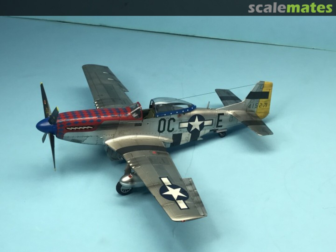 View album, image #1 View album, image #1