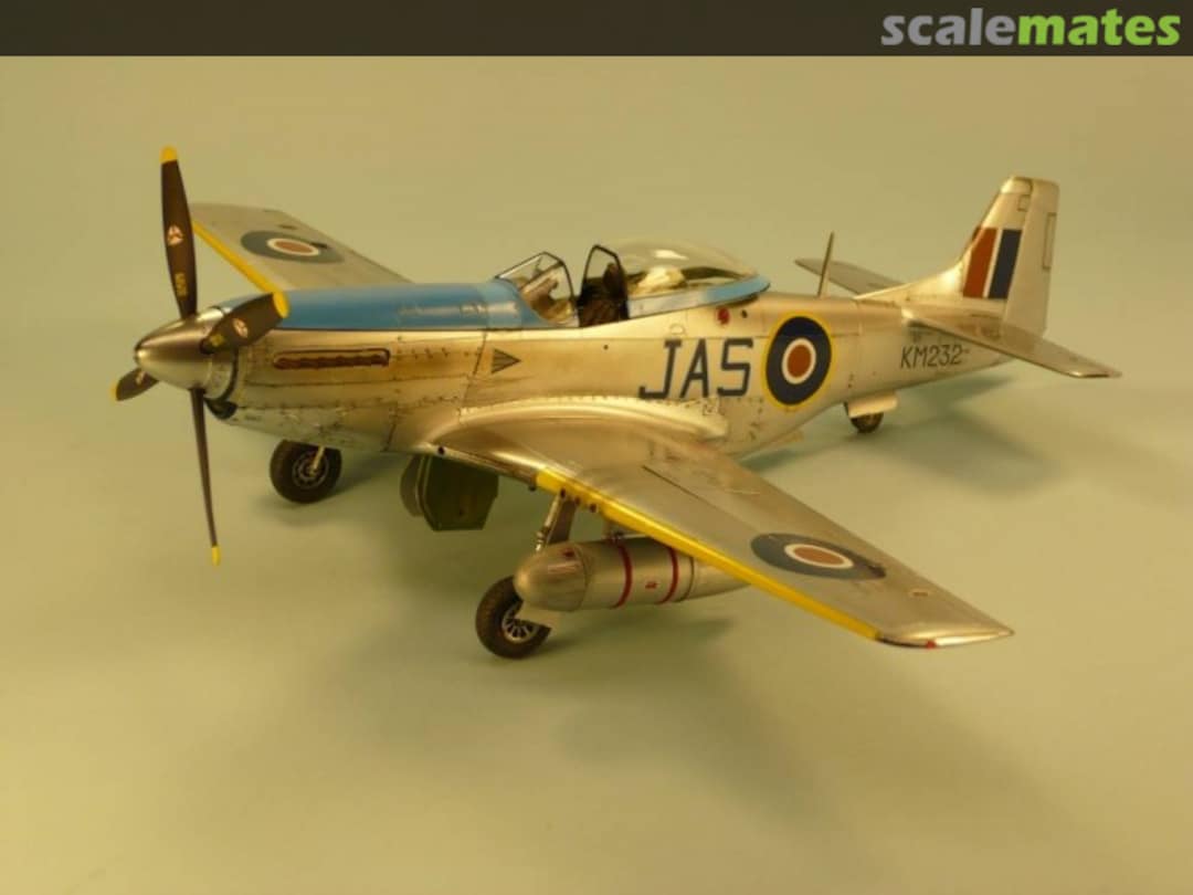 View album, image #1