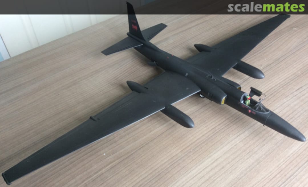 View album, image #10 View album, image #10