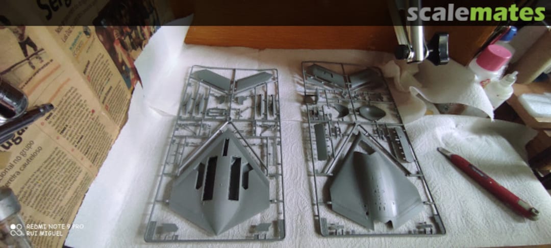 View album, image #1 View album, image #1