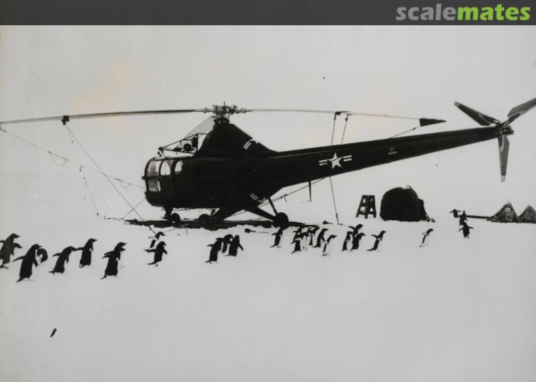 View album, image #1 View album, image #1