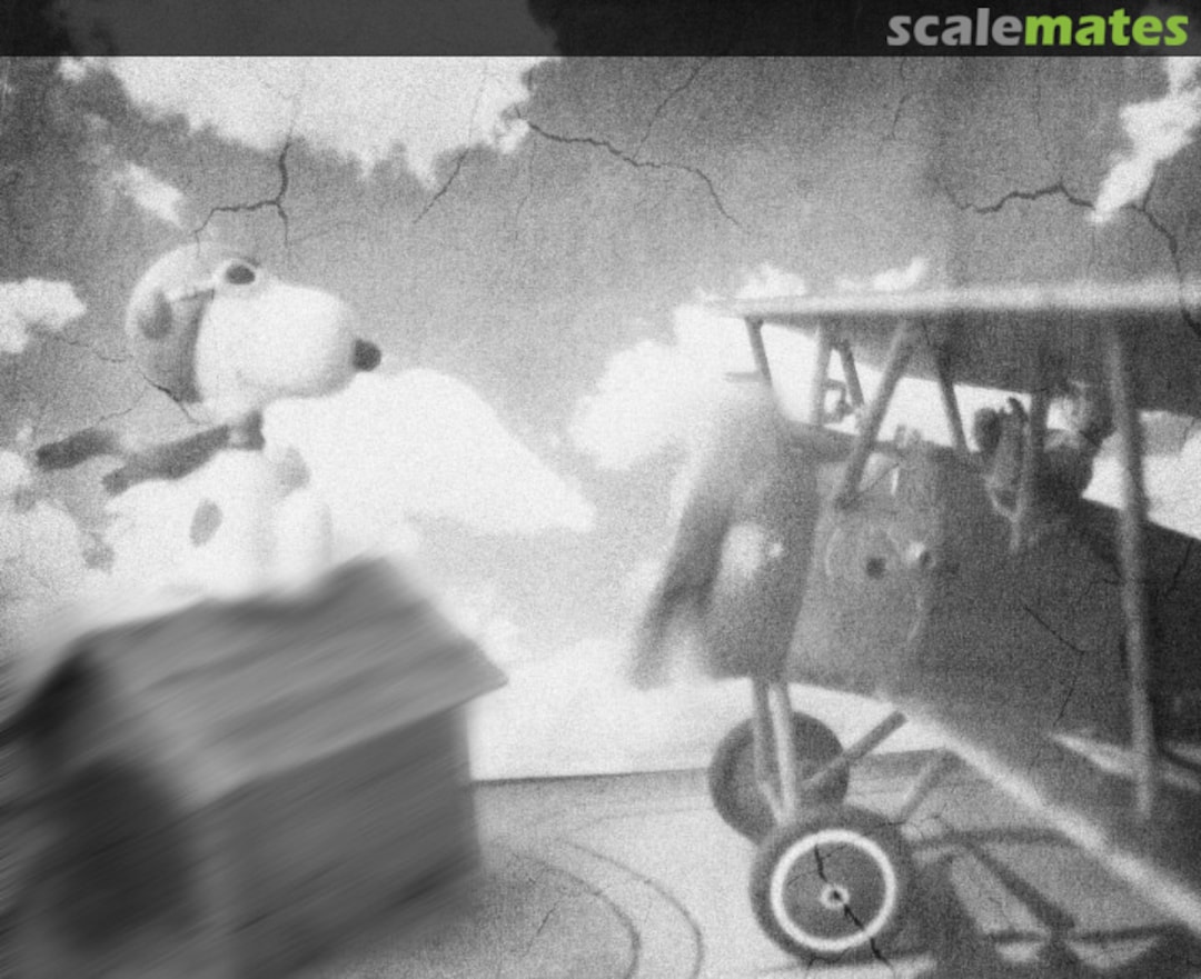 View album, image #10 View album, image #10