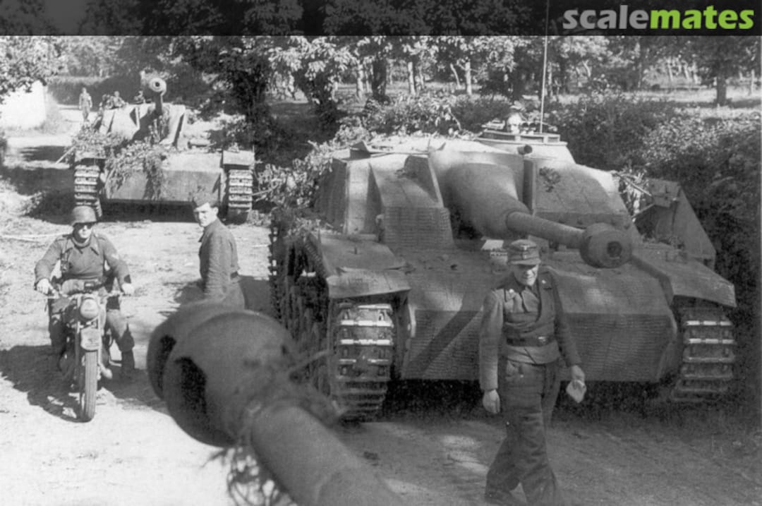 View album, image #1 View album, image #1