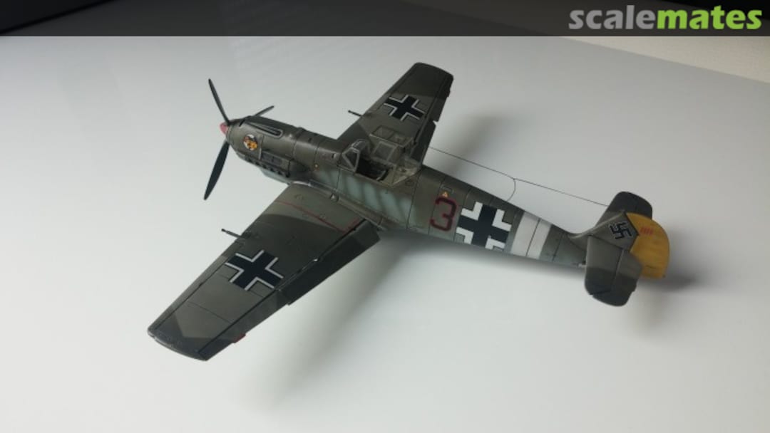 View album, image #1 View album, image #1