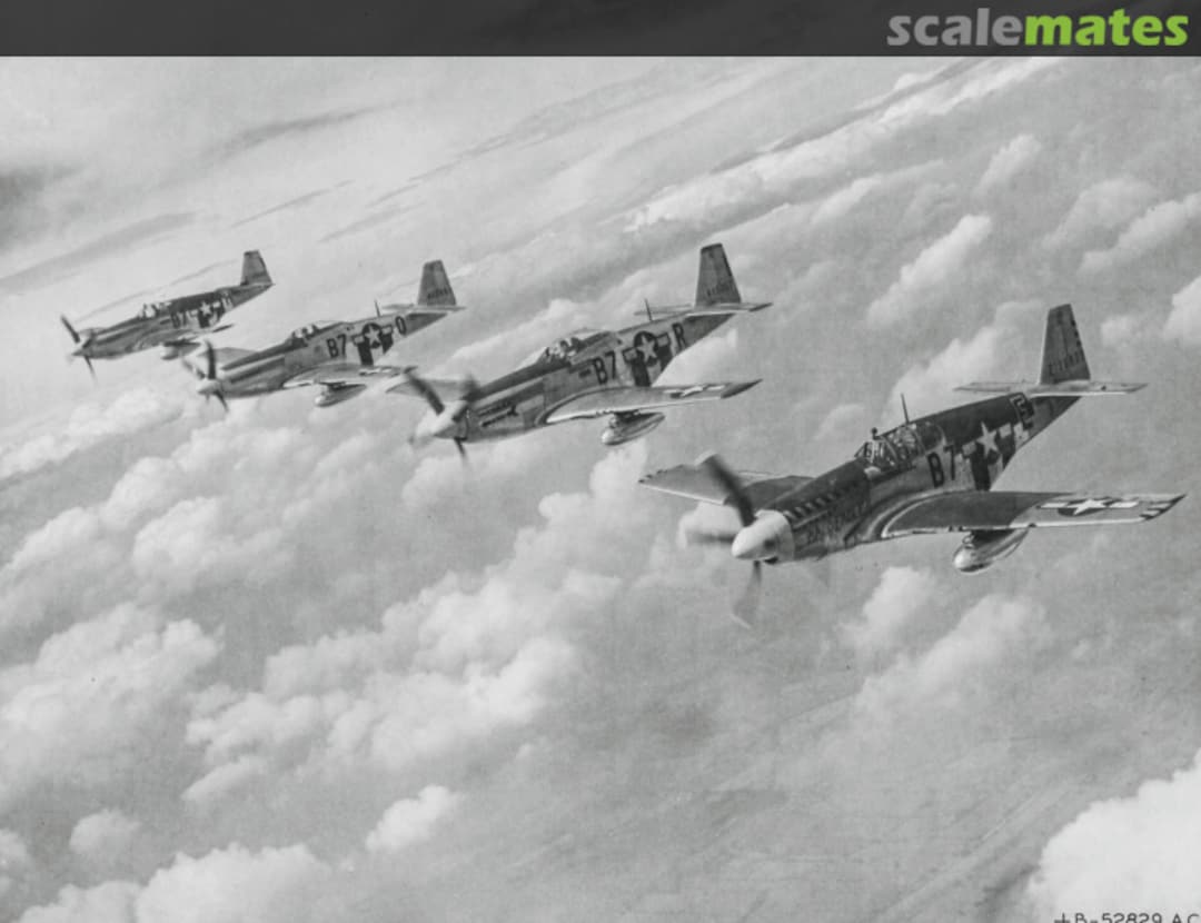 View album, image #11