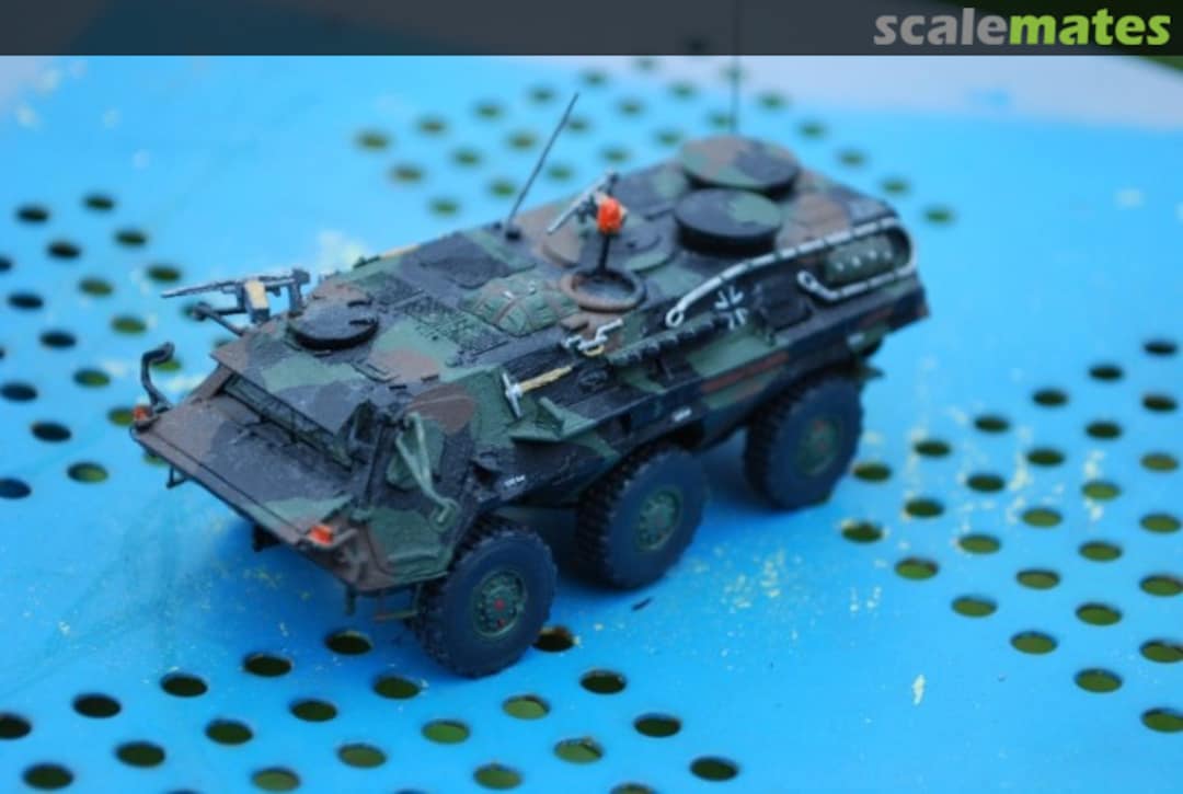 View album, image #1