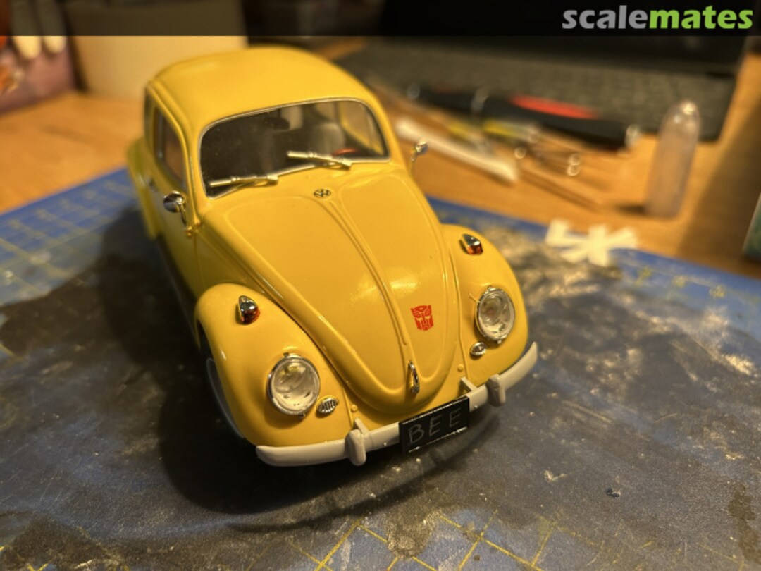 View album, image #1 View album, image #1