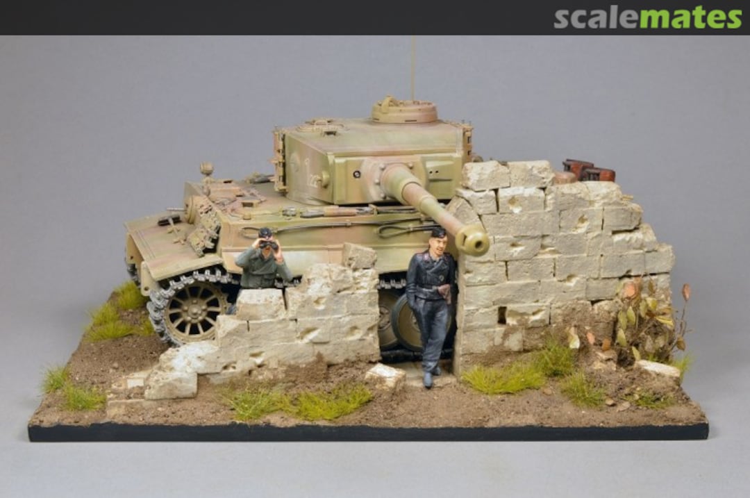 View album, image #12 View album, image #12