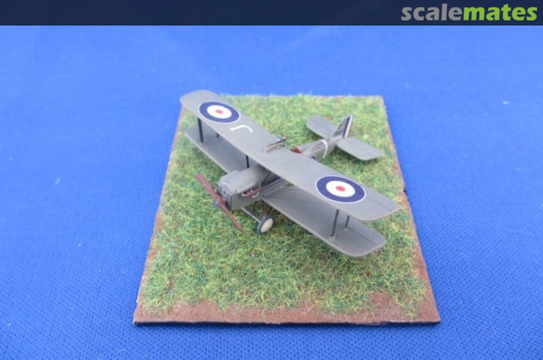 View album, image #1