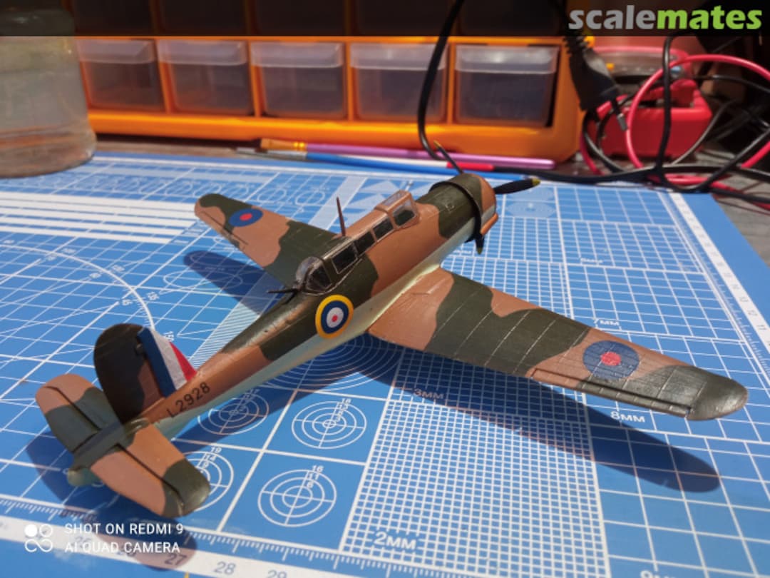 View album, image #1 View album, image #1