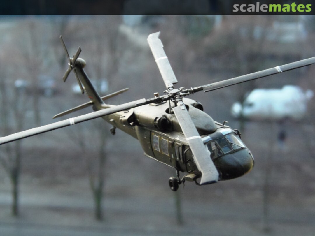 View album, image #1