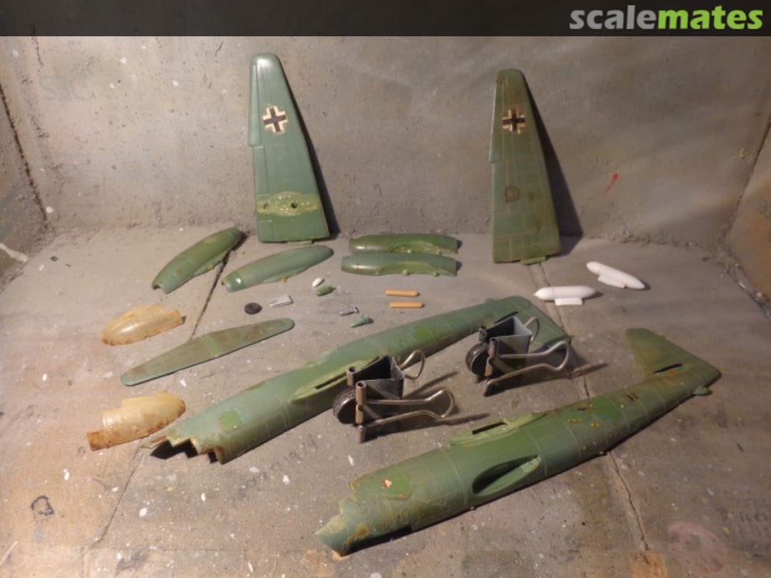 View album, image #1 View album, image #1