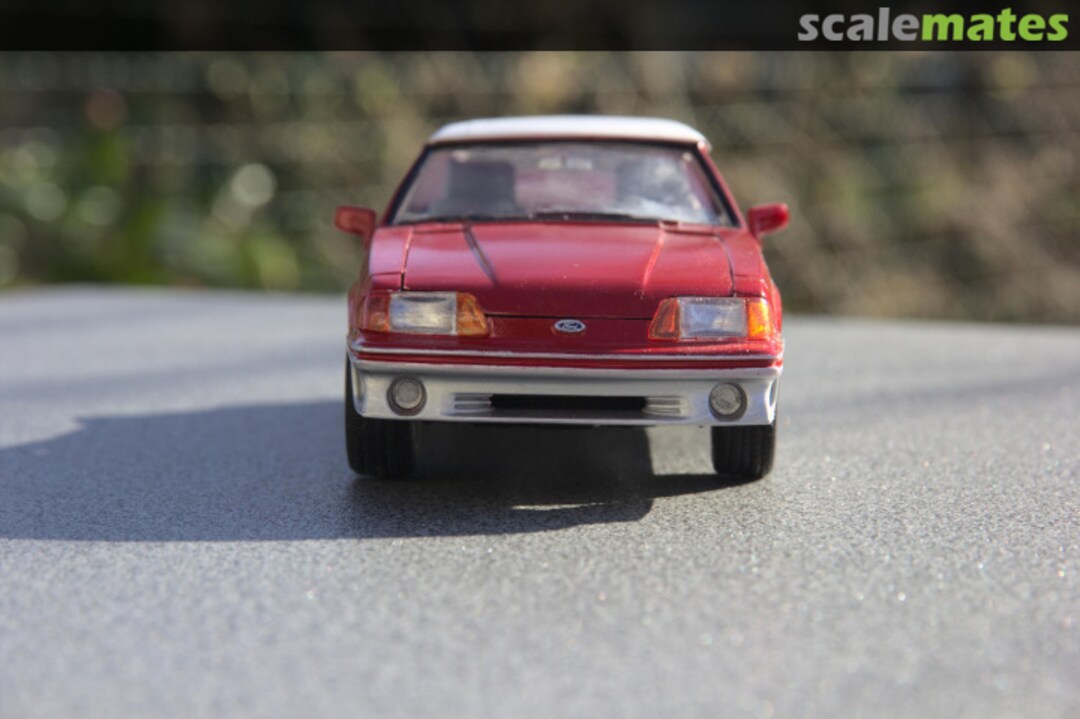 View album, image #1 View album, image #1