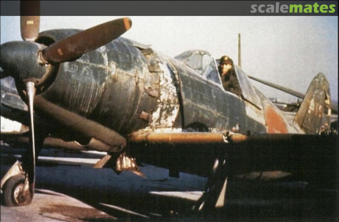 View album, image #1 View album, image #1