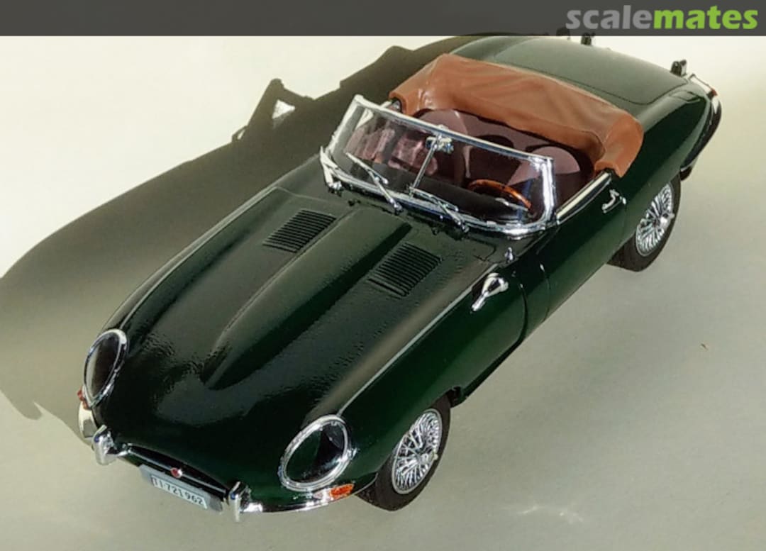 View album, image #1 View album, image #1