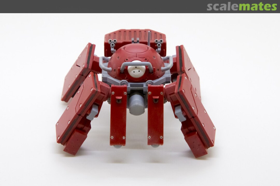 View album, image #8 View album, image #8