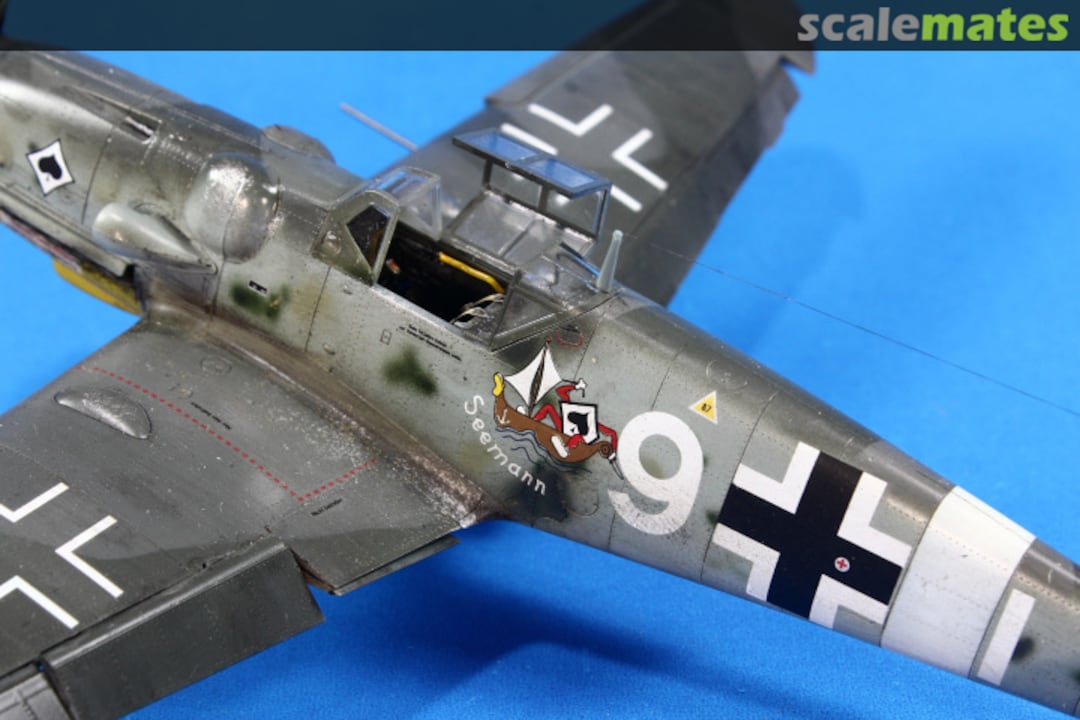 View album, image #1 View album, image #1