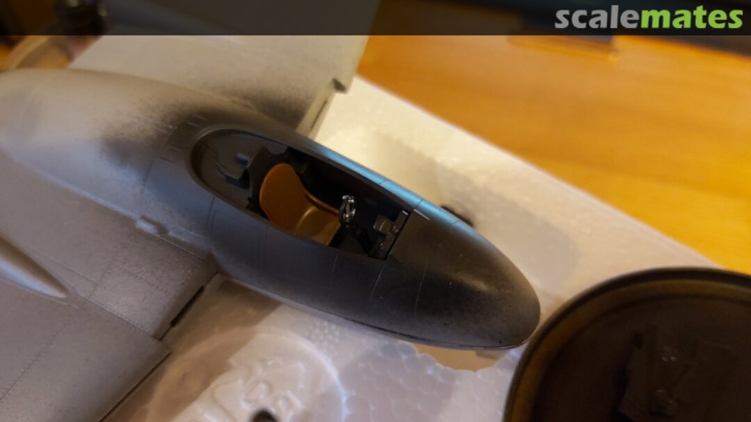 View album, image #10 View album, image #10