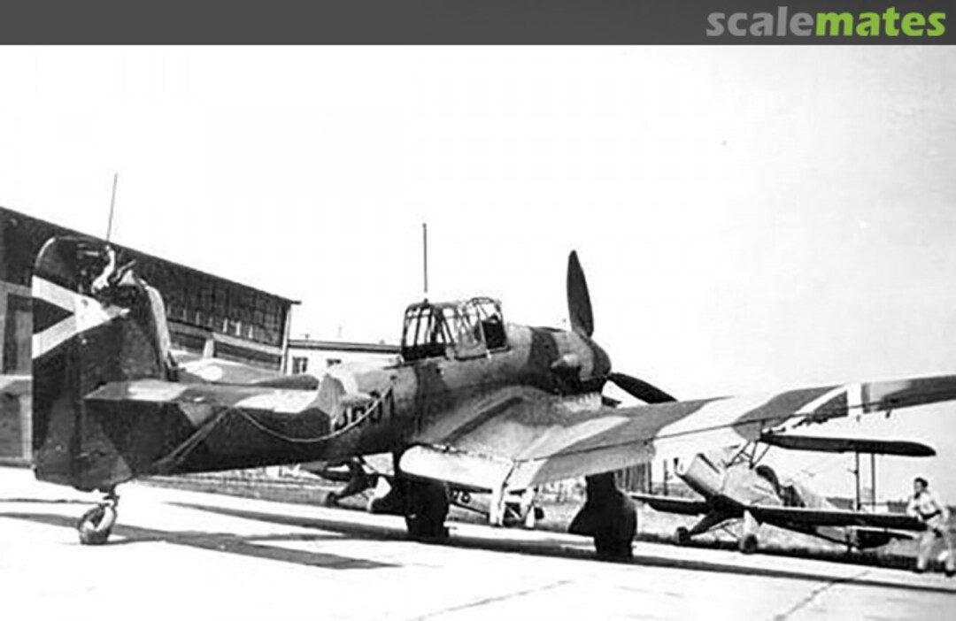 View album, image #1