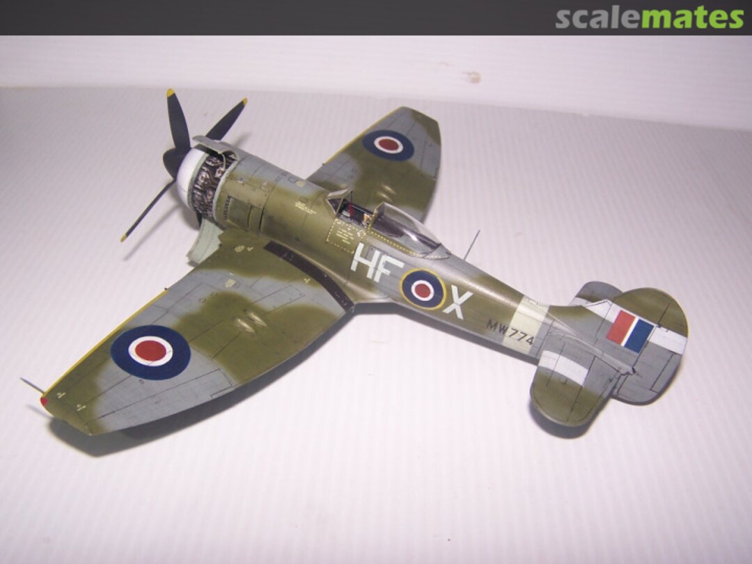 View album, image #1 View album, image #1