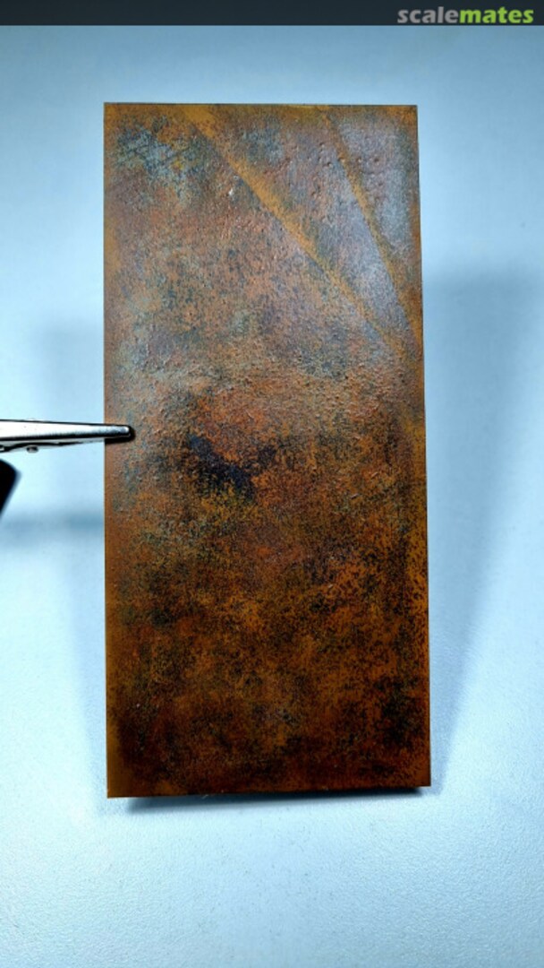 View album, image #1 View album, image #1