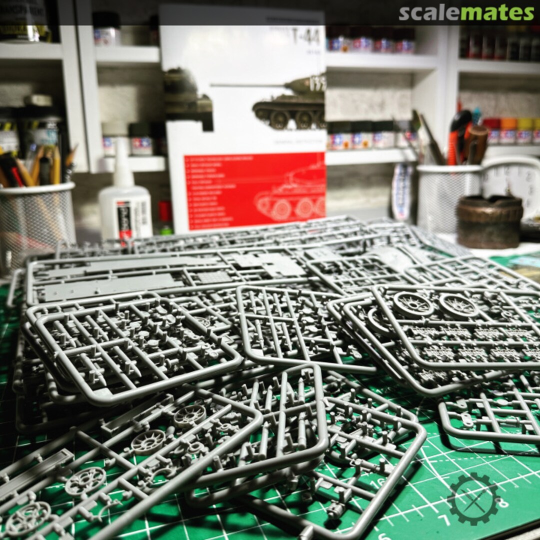 View album, image #1 View album, image #1