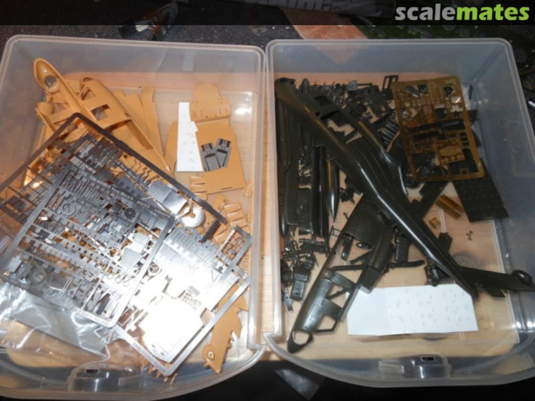 View album, image #1 View album, image #1