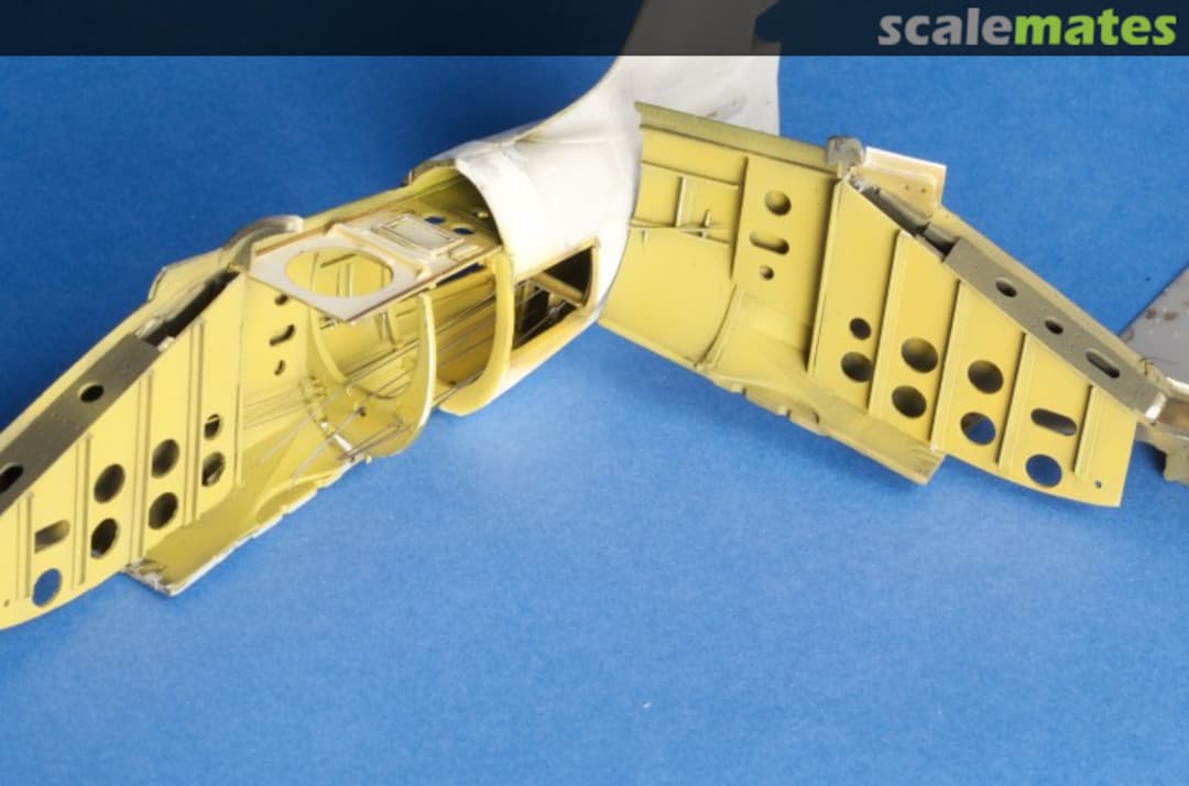 View album, image #1 View album, image #1