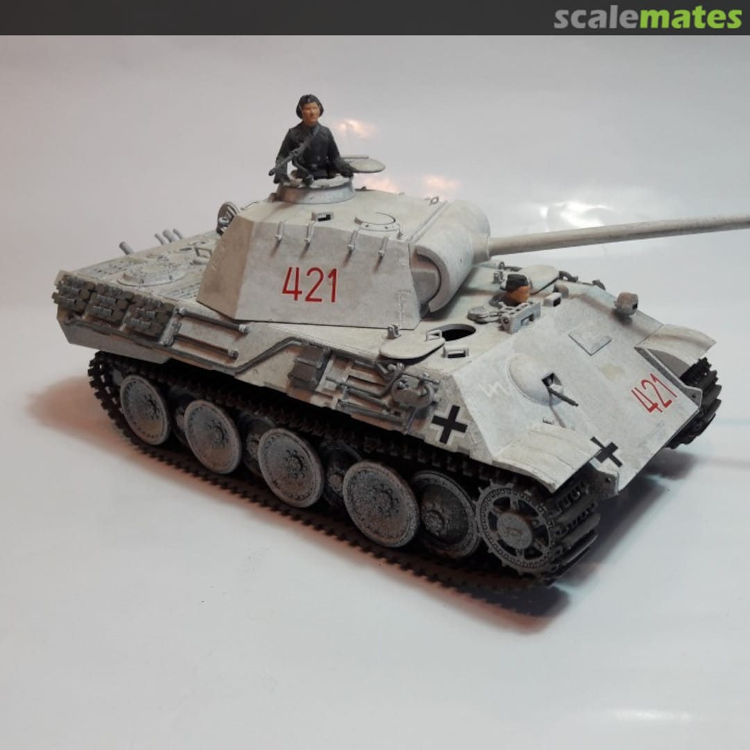 View album, image #1 View album, image #1