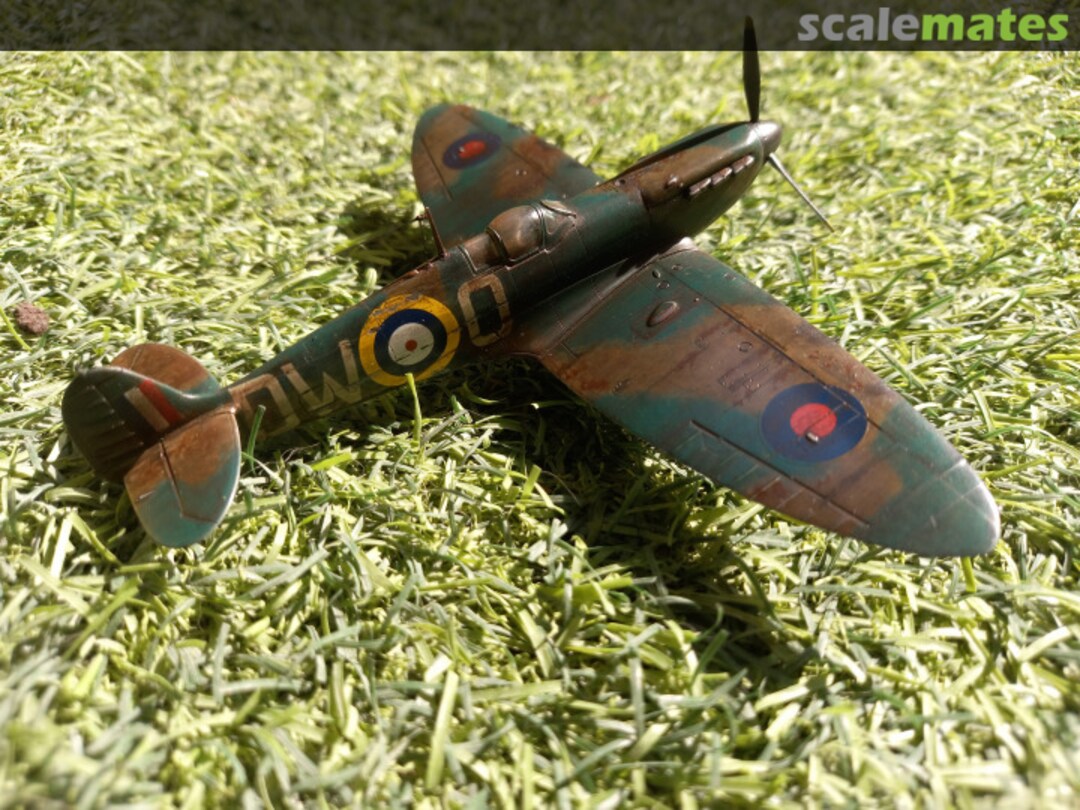 View album, image #1 View album, image #1