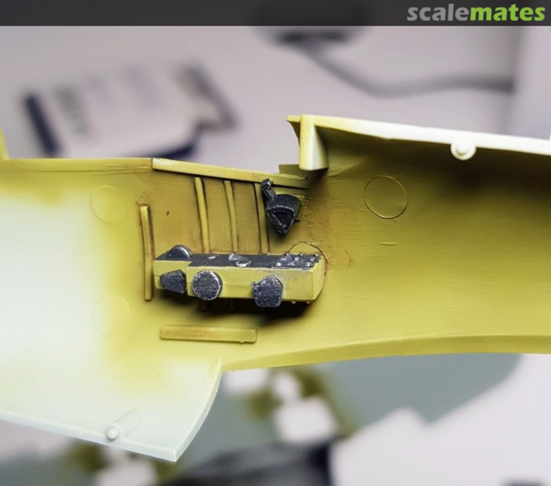 View album, image #1 View album, image #1