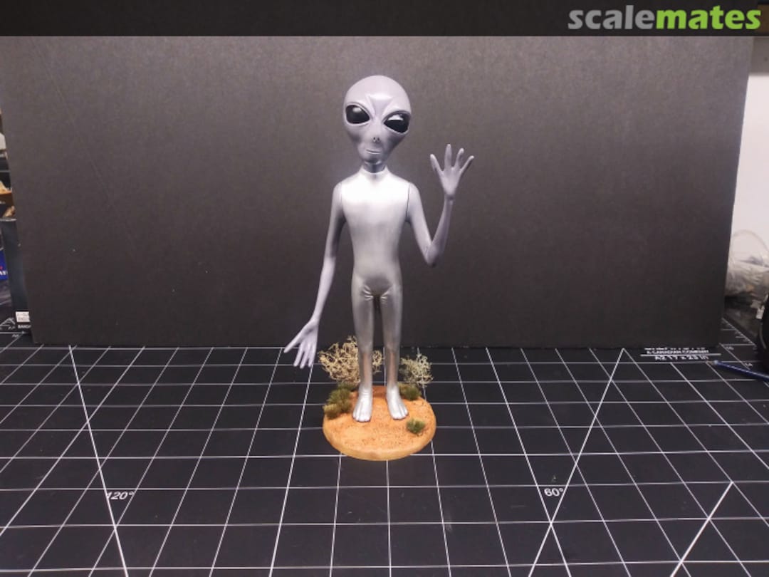 View album, image #24 View album, image #24