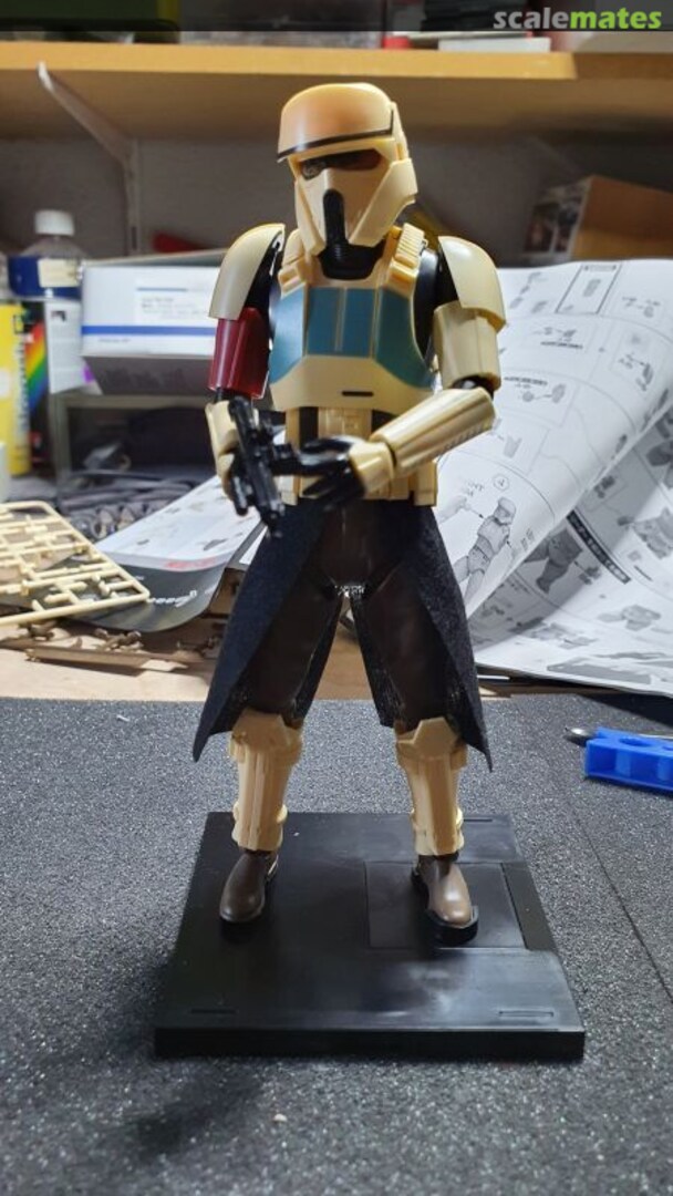 View album, image #1 View album, image #1