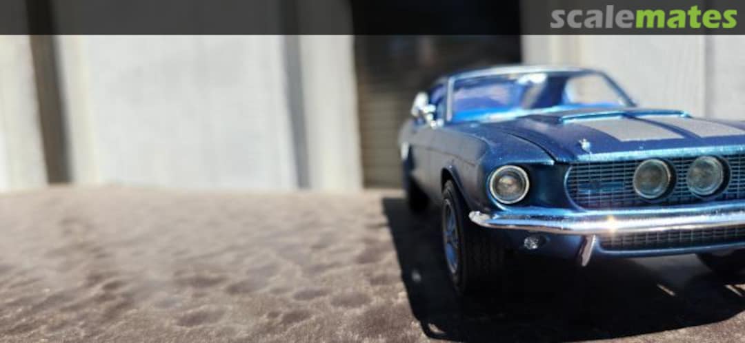 View album, image #25 View album, image #25