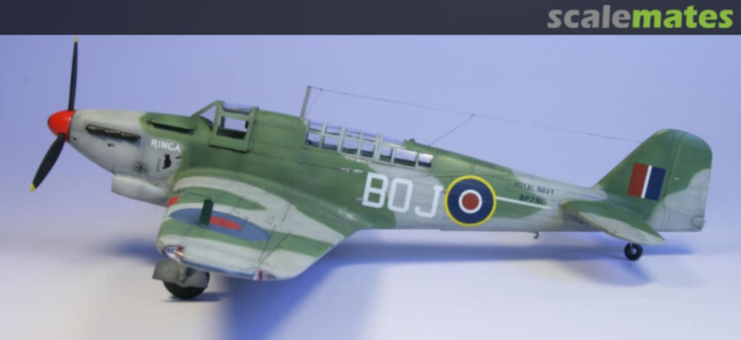 View album, image #1