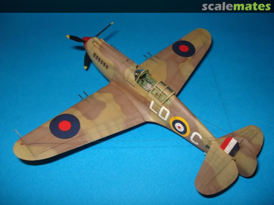 View album, image #1