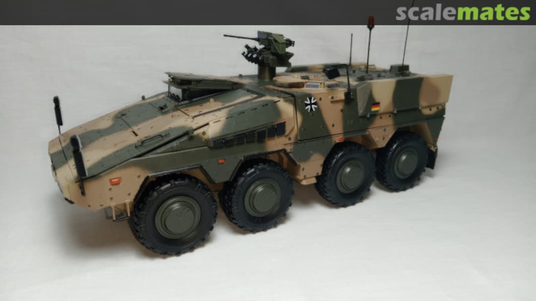 View album, image #1 View album, image #1