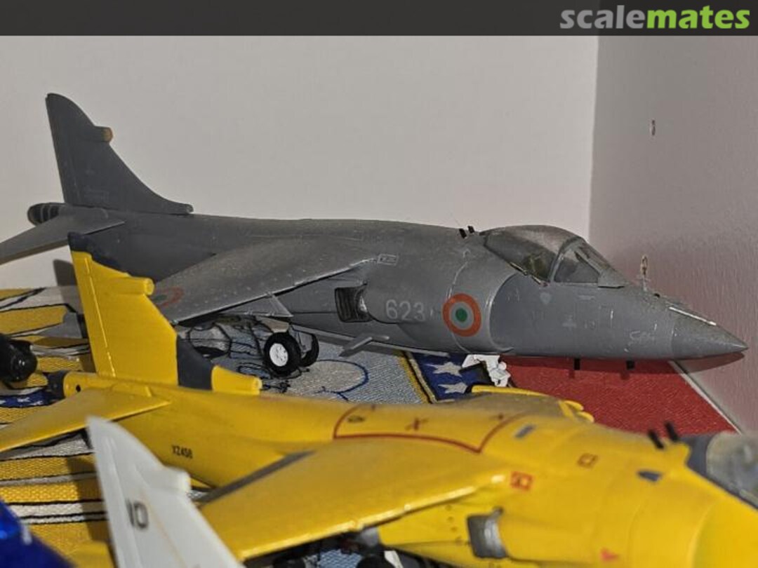 View album, image #1 View album, image #1