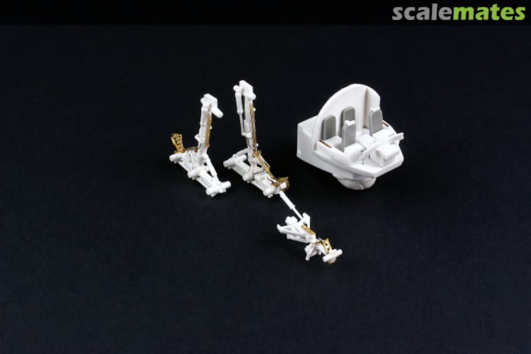 View album, image #6 View album, image #6