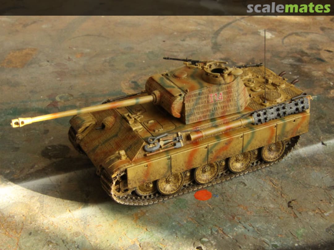 View album, image #1 View album, image #1