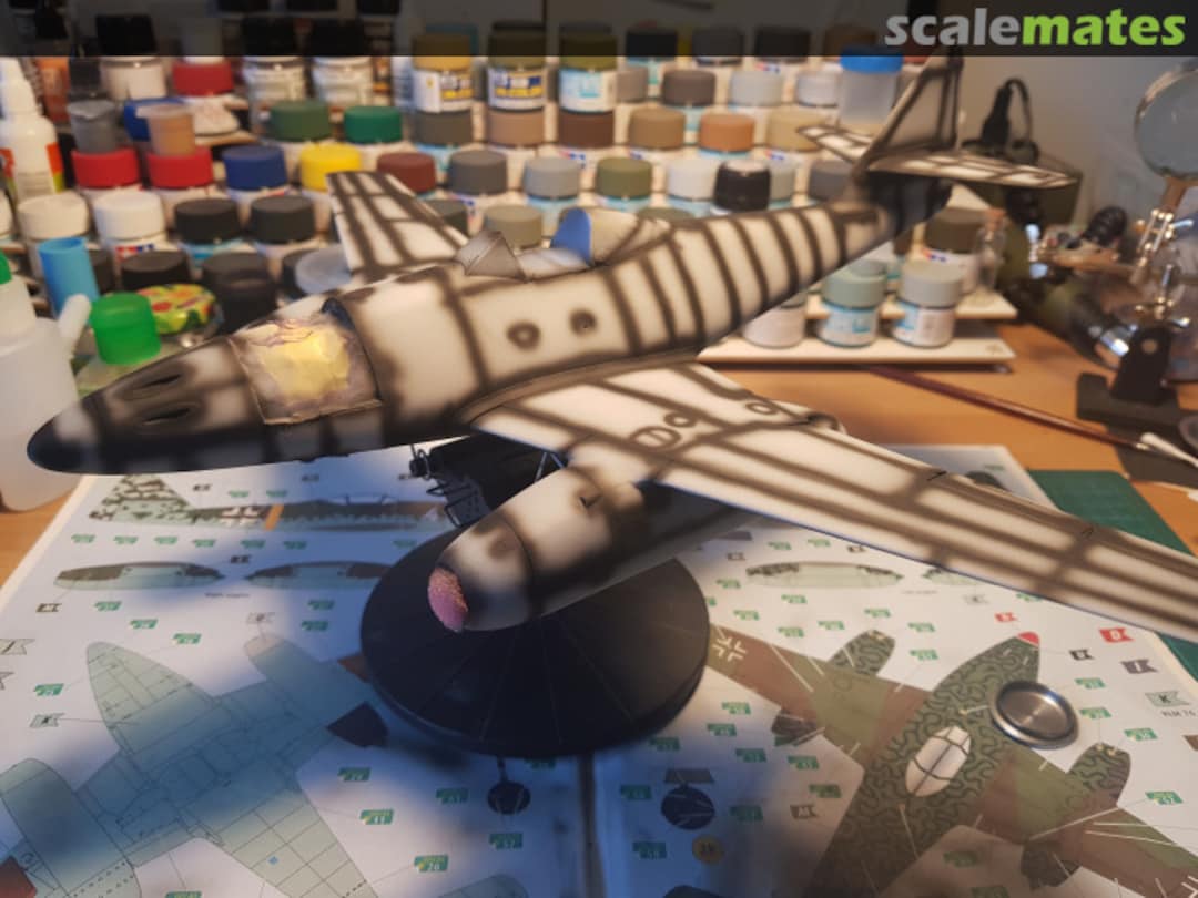 View album, image #1 View album, image #1