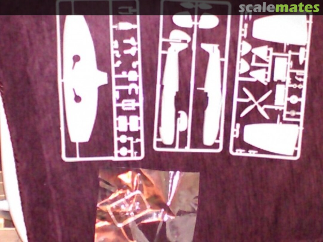 View album, image #1 View album, image #1